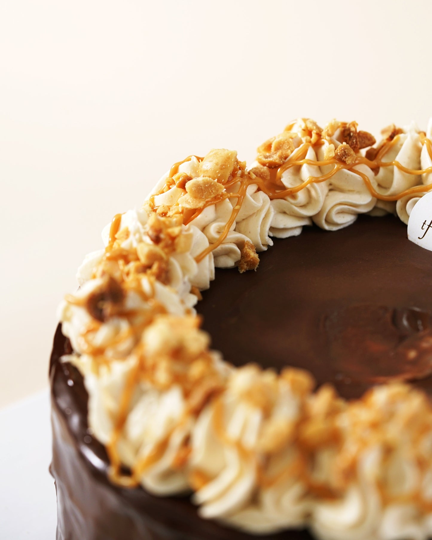 Peanut Butter Chocolate