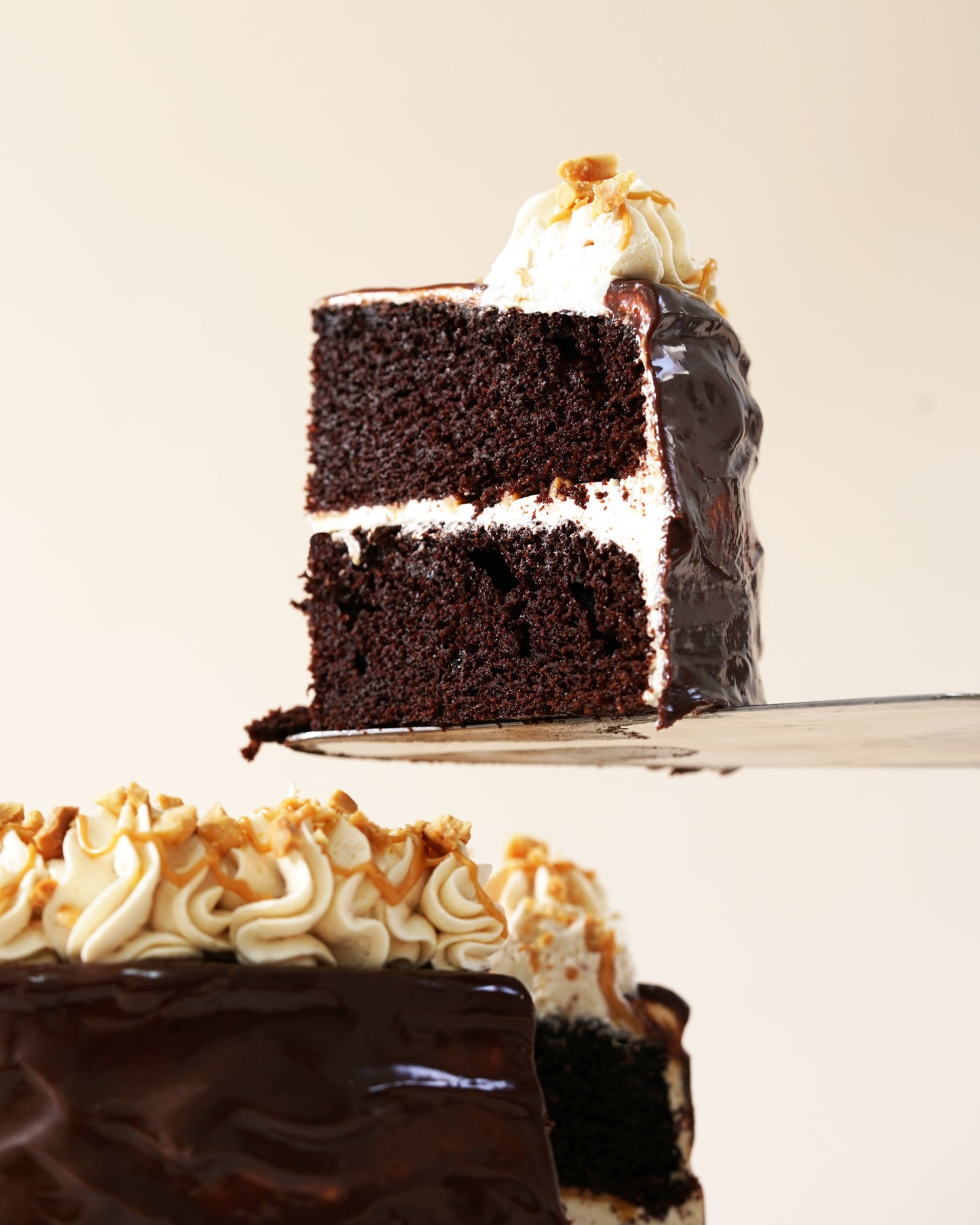 Peanut Butter Chocolate